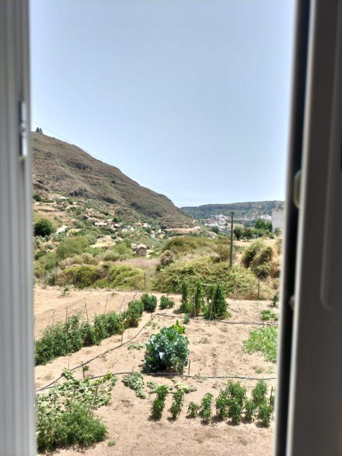 Апартаменты Casa Azul Mountain Retreat Вега де Сан Матео Экстерьер фото